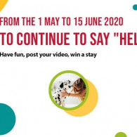 Say Hello Campaign